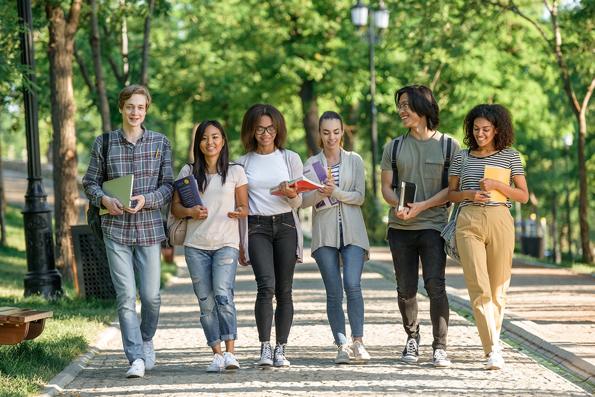 Beginner’s Guide to Federal Student Loan Options